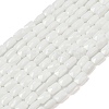 Opaque Glass Beads Strands GLAA-Z018-D17-1