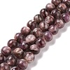 Natural Lepidolite/Purple Mica Stone Beads Strands G-G925-02A-1