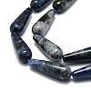 Natural Blue Spot Jasper Beads Strands G-E576-50-3