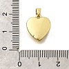 Brass Pendants KK-V007-011G-03-3