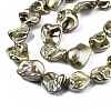 Shell Pearl Beads Strands BSHE-Q031-15E-3