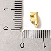 Rack Plating Brass Pendants X-KK-L220-001G-F-3