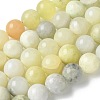 Natural New Jade Beads Strands G-F591-16-10MM-2