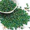 6/0 Inside Colours Fringe Glass Seed Beads SEED-A034-03G-1