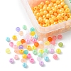 105G 15 Style Mixed Style Acrylic Beads MACR-FS0001-33-4