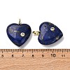 Dyed Natural Lapis Lazuli Pendants G-P588-01G-08-3