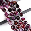 Natural Agate(Dyed & Heated) Beads Strands G-T139-92A-1
