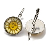 Sun Glass Leverback Earrings with Brass Earring Pins EJEW-Q798-01J-2