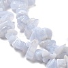 Natural Blue Lace Agate Chip Beads Strands G-E271-73-01-3