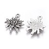 Tibetan Style Alloy Pendants LS-TIBEP-A113357-AS-FF-2