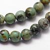 Natural African Turquoise(Jasper) Beads Strands G-N0188-02-3mm-3