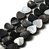 Natural Black Lip Shell Beads Strands BSHE-D300-06B-1