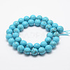 Synthetic Turquoise Bead Strands G-G736-32-8mm-2