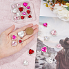 SUPERFINDINGS 24Pcs 12 Styles Pink Series Heart Sew On Glass Rhinestones DIY-FH0005-84-3