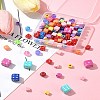 Acrylic Beads Sets OACR-FS0001-76-10