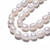 Natural Cultured Freshwater Pearl Beads Strands PEAR-N012-08B-3