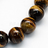 Natural Tiger Eye Round Beads Strands G-S177-12mm-1