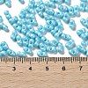 Glass Seed Beads SEED-L011-04A-11-4