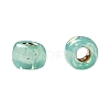 TOHO 11/0 Round Beads X-SEED-TR11-PF2119-4