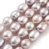 Natural Cultured Freshwater Pearl Beads Strands PEAR-P062-10B-2