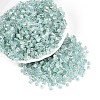 Transparent Inside Colours Glass Seed Beads SEED-T007-13N-3