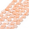Natural Freshwater Shell Beads Strands SHEL-H002-02A-1