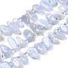 Natural Blue Lace Agate Spike Slice Beads Strands G-NH0046-B01-01-2