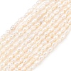 Natural Cultured Freshwater Pearl Beads Strands PEAR-D003-01D-01-2