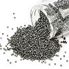 MIYUKI Delica Beads X-SEED-J020-DB2512-1
