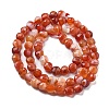 Natural Red Agate Beads Strands G-C179-A02-02-3