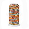 Segment Dyed Round Polyester Sewing Thread OCOR-Z001-B-03-1