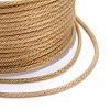 Polyester Braided Cords OCOR-I006-A01-07-3