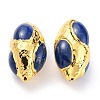 Natural Lapis lazuli Beads G-B011-04G-2