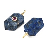 Natural Lapis Lazuli Pendants KK-CBAF9BC-20G-07-2