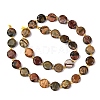 Natural Picasso Jasper/Polychrome Jasper Beads Strands G-C116-A118-01-4