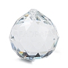 Transparent Glass Pendants GLAA-R223-03D-1
