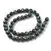 Natural Seraphinite Beads Strands G-C270-O01-07-3