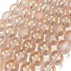 Frosted Transparent Glass Bead Strands GLAA-P065-10mm-05-2