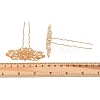 Alloy with Iron Hair Fork Findings AL-CBA8479-01KCG-3