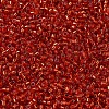 MIYUKI Delica Beads SEED-X0054-DB0043-3