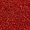TOHO 6/0 Round Beads X-SEED-TR06-0025-4