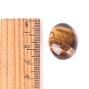 Natural Tiger Eye Cabochons PW-WGEFD9A-01-3