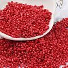 Baking Paint Glass Seed Beads X-SEED-S042-05B-91-1