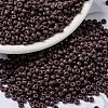 MIYUKI Round Rocailles Beads X-SEED-G008-RR0497-1