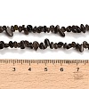 Natural Silver Sheen Obsidian Beads Strands GG-CBAE051-A03-02-5