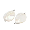 Natural Shell Teardrop Connector Charms STAS-D378-28P-3