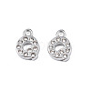 304 Stainless Steel Charms STAS-N095-137Q-1