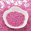 Baking Paint Glass Seed Beads X-SEED-S042-15B-27-2