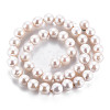 Natural Keshi Pearl Beads Strands PEAR-S020-F07-3