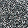 MIYUKI Delica Beads SEED-X0054-DB1712-3